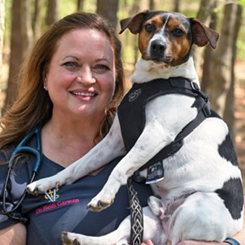 Dr. Heidi Garman, Williamsburg Veterinarian